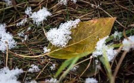 Улаанбаатарт 8 хэм дулаан