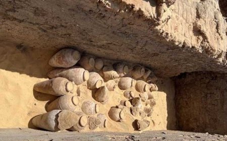 Египетээс 5000 жилийн настай хэдэн зуун лонх дарс олджээ