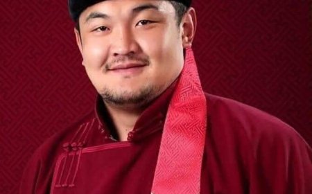 Улсын начин Д.Цэрэнтогтох  гар утсанд нь ирсэн мессежийг  дэлгэжээ