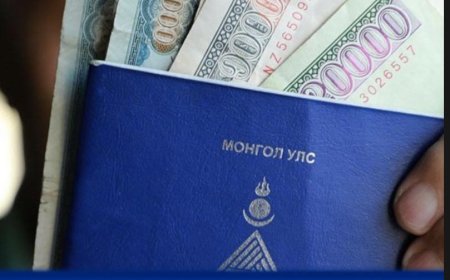 Халамж, тэтгэвэр тэтгэмж, Хүүхдийн мөнгө олгох хуваарь гарлаа