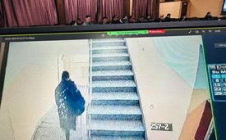 Жолооч охиныг хөнөөсөн гэж мэдүүлжээ