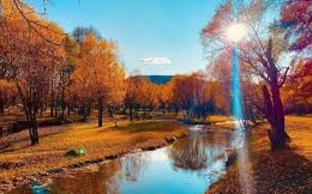 Улаанбаатарт 16 хэм дулаан