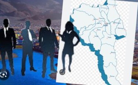 Газар орны нэрийг хууль бусаар албан ёсны бичиг баримт, газар зүйн зурагт өөрчилсөн албан тушаалтнуудад хилийн хориг тавьжээ