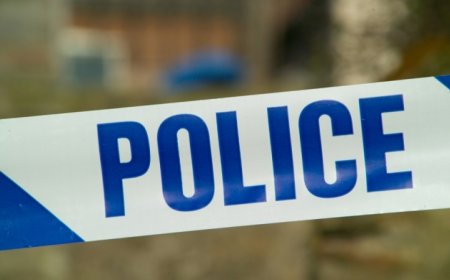 "Дорнодод хятад улсын иргэд хүүхэд хөөж, айлгасан" гэх мэдээлэл нь худал болохыг цагдаагийн байгууллагаас мэдээлэв