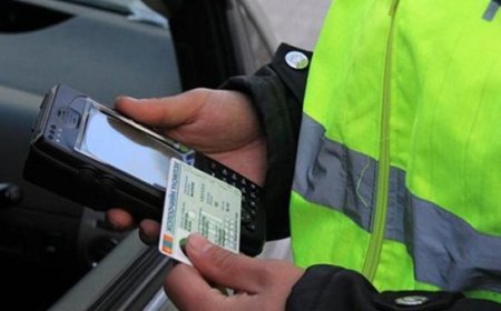 Зам дээр хувцсаа тайлан, орилсон иргэнд 25 хоног баривчлах шийтгэл оноожээ