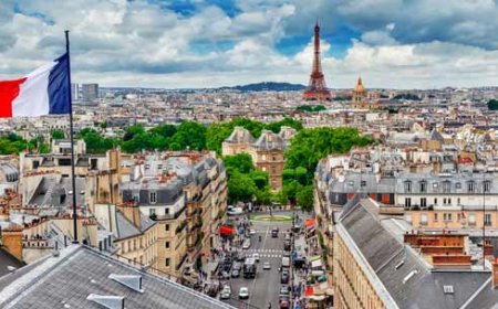 Монголын Ерөнхий сайд асны хүү Парист дээрэмдүүлжээ