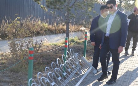 Яармагийн замын 1-р эгнээ тусгаарласан 1.2 тэрбумын өртөгтэй хашлагыг сар гаруйн дараа буулгалаа