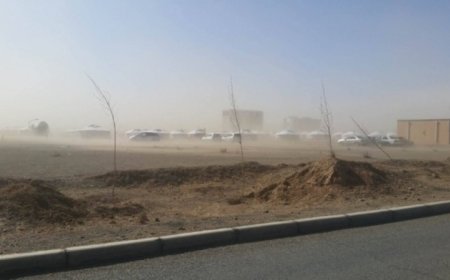 Улаанбаатарт өдөртөө 9 хэм дулаан