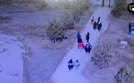 Сурагчдын утсыг бүлэглэн хулгайлсан этгээдийг шалгаж эхэллээ