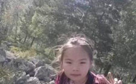 Таксинд суугаад  сураггүй  болсон 13 настай  охин олдоогүй байна