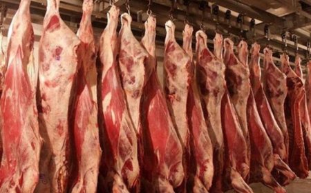 Хонины гулууз махыг агаарын тээврээр экспортолж эхлэв