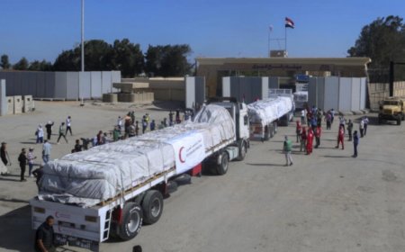 Египетээс Газын зурвас руу тусламжийн гурав дахь цуваа нэвтэрлээ