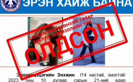 ЦЕГ: Охиныг олж тогтоон, эрэн сурвалжлах ажиллагааг зогсоолоо