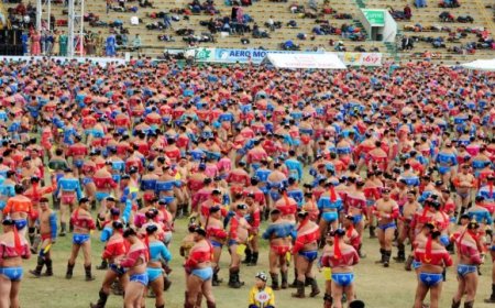 Прокурорын мэдэгдлийн дагуу бөхчүүдийг соён гэгээрүүлнэ