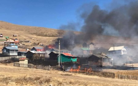 Шар өвс шатсан таван дуудлага нэг хоногт бүртгэгдлээ