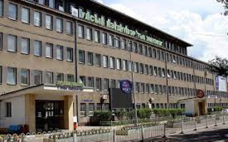 Нэгдүгээр эмнэлгийн газраас хувийн хэвшилд газар олгосон хүмүүсийг АТГ-т шалгуулна