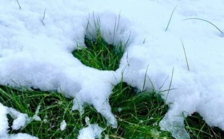 Улаанбаатарт үүлшиж, ялимгүй хур тунадастай. 7 хэм дулаан