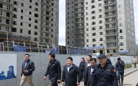 "Авлига хороолол"-ын шатдаггүй чулуун хөвөнгийн бичлэг олныг дахин бухимдуулав