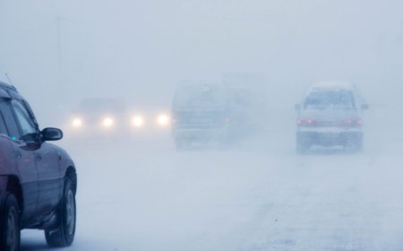 Зарим нутгаар цас орж, цасан шуурга шуурна