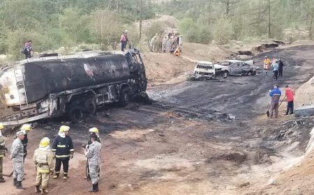 ЦАГААН ДАВААНЫ ОРЧИМД ОСОЛ ГАРГАСАН ЖОЛООЧИД 5 ЖИЛИЙН ХОРИХ ЯЛ ОНООЖЭЭ