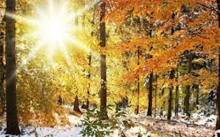 Улаанбаатарт 2 хэм дулаан