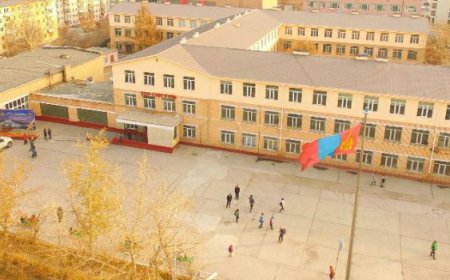 33 дугаар сургуулийн 30 гаруй хүүхэд хоорондоо зодолдсон нөхцөл байдал тогтоогджээ