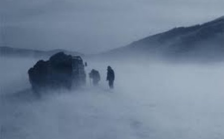 Төөрч сураг алдарсан  дөрвөн иргэнийг эрэн хайж  байна