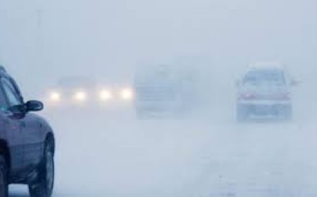 Арванхоёрдугаар сарын цаг агаарын төлөв