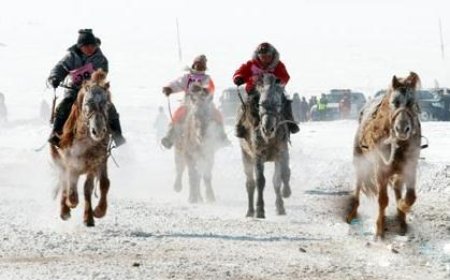 Тавдугаар сарын 1-нийг хүртэл хурдан морины уралдаан, үсэргээ, сунгаа зохион байгуулахгүй