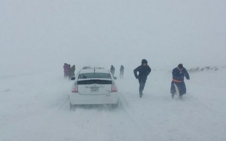 Өнөө шөнө Сүхбаатарын зүүн, Дорнодын өмнөд хэсгээр цасан шуурга шуурна