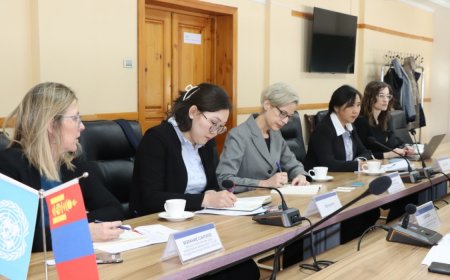 НҮБ-ын тусгай илтгэгч Маргарет Саттертвэйт Монгол Улсад айлчилж байна