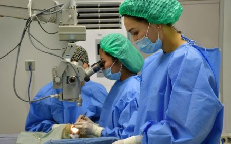 Бүтэн нүд шилжүүлэн суулгах мэс засал амжилттай болжээ