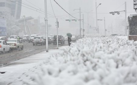 Улаанбаатарт 7 хэм хүйтэн