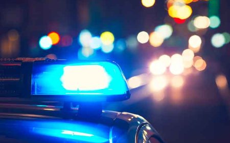 Гурван сартай охины толгой руу цохиж хөнөөсөн харамсалтай хэрэг гарчээ