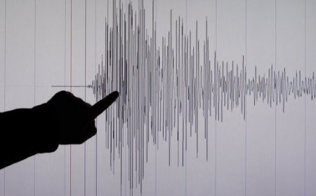 Говь-Алтай аймгийн Шарга сумын нутагт дөрвөн магнитудын хүчтэй газар хөдлөв