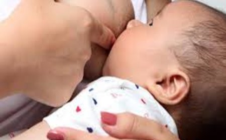 "Цалинтай ээж” хөтөлбөрийн тэтгэмжийг нэмэгдүүлэх тухай нийтийн өргөдлийг 102 мянган иргэн дэмжлээ