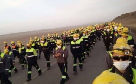 ЭТТ ХХК-нд томилогдсон БЭТ-ийн тушаалаар 70 гаруй ажилтныг үндэслэлгүй халжээ