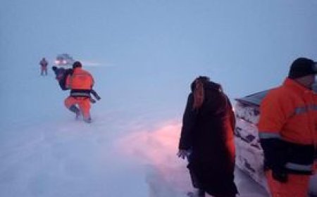 ТӨӨРСӨН, СУРАГГҮЙ БОЛСОН 66 ИРГЭНИЙГ ЭРЭН ХАЙХ АЖИЛЛАГАА ҮРГЭЛЖИЛЖ БАЙНА