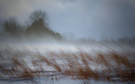 ОХУ-ын Алтайн хязгаар, Сибирь орчмоос хүйтэн агаарын урсгал орж ирж, нийт нутгаар хүйтэрнэ