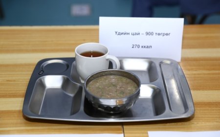 ЦЭЦЭРЛЭГ, СУРГУУЛИЙН ХООЛНЫ ТӨСВИЙГ НЭМЭГДҮҮЛЭХ САНАЛ АВЧ ЭХЭЛЛЭЭ