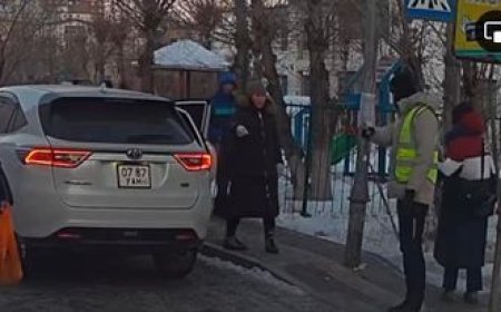 "Kinder Police"-ийн биед халдсан эмэгтэйг 100 МЯНГАН төгрөгөөр торгожээ