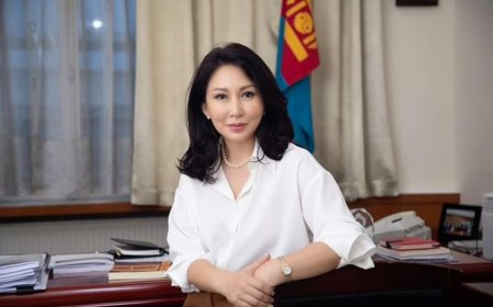 УИХ-ын Боловсрол, соёл, шинжлэх ухаан, спортын байнгын хорооны даргаар Б.Баярсайханыг сонгожээ