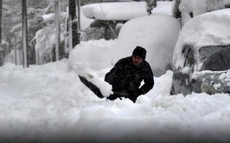 Болгарын дөрвөн хот цасан шуургатай холбогдуулан онц байдал зарлалаа