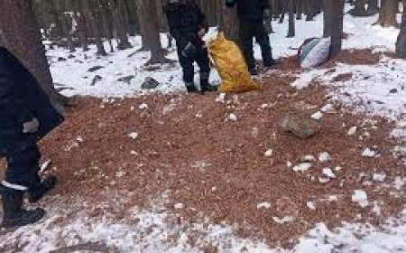 Самарт явсан найман хүний нэг нь сураггүй болжээ