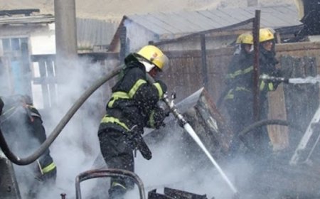 Түймрийн улмаас бэртэж гэмтсэн, түлэгдсэн хүн байхгүй