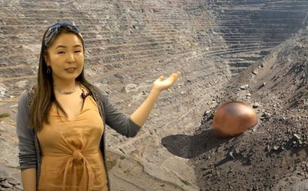 Монгол оюутнаар ахлуулсан Оксфордын баг шагнал хүртжээ