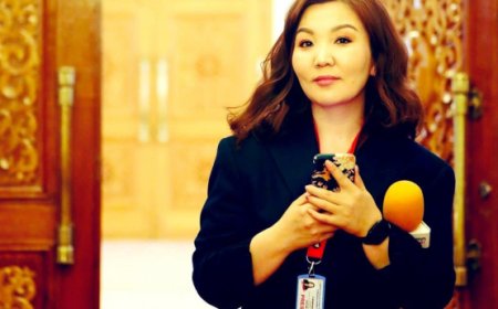 Сэтгүүлч Н.Өнөрцэцэгт 4 хэргийг нь танилцуулаагүй байж, цагдан хорьсон