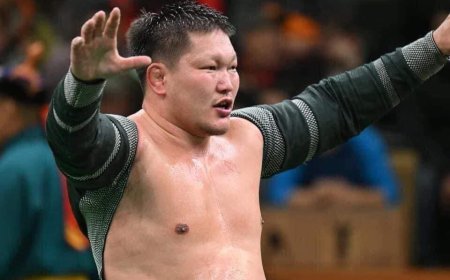 Улсын харцага Н.Золбоо Сэлэнгэ аймагт түрүүлэв