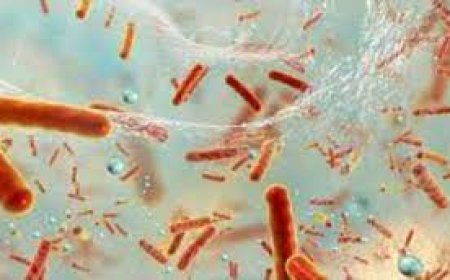 БОАЖЯ: Зайсан орчмын ундны уснаас халуунд тэсвэртэй гэдэсний савханцар илэрсэн