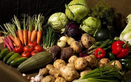 Энэ жил 183 мянган тонн хүнсний ногоо хураан авч, дээд амжилт тогтоожээ